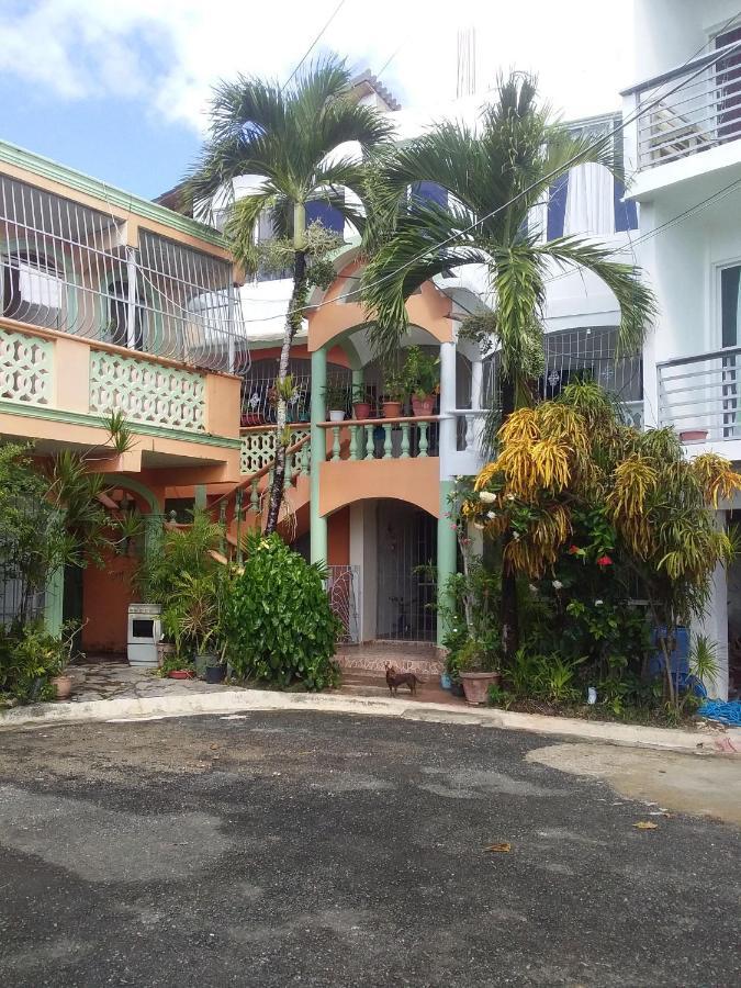 Room In Guest Room - Best Bed And Breakfast In Samana Breakfast Included Extérieur photo