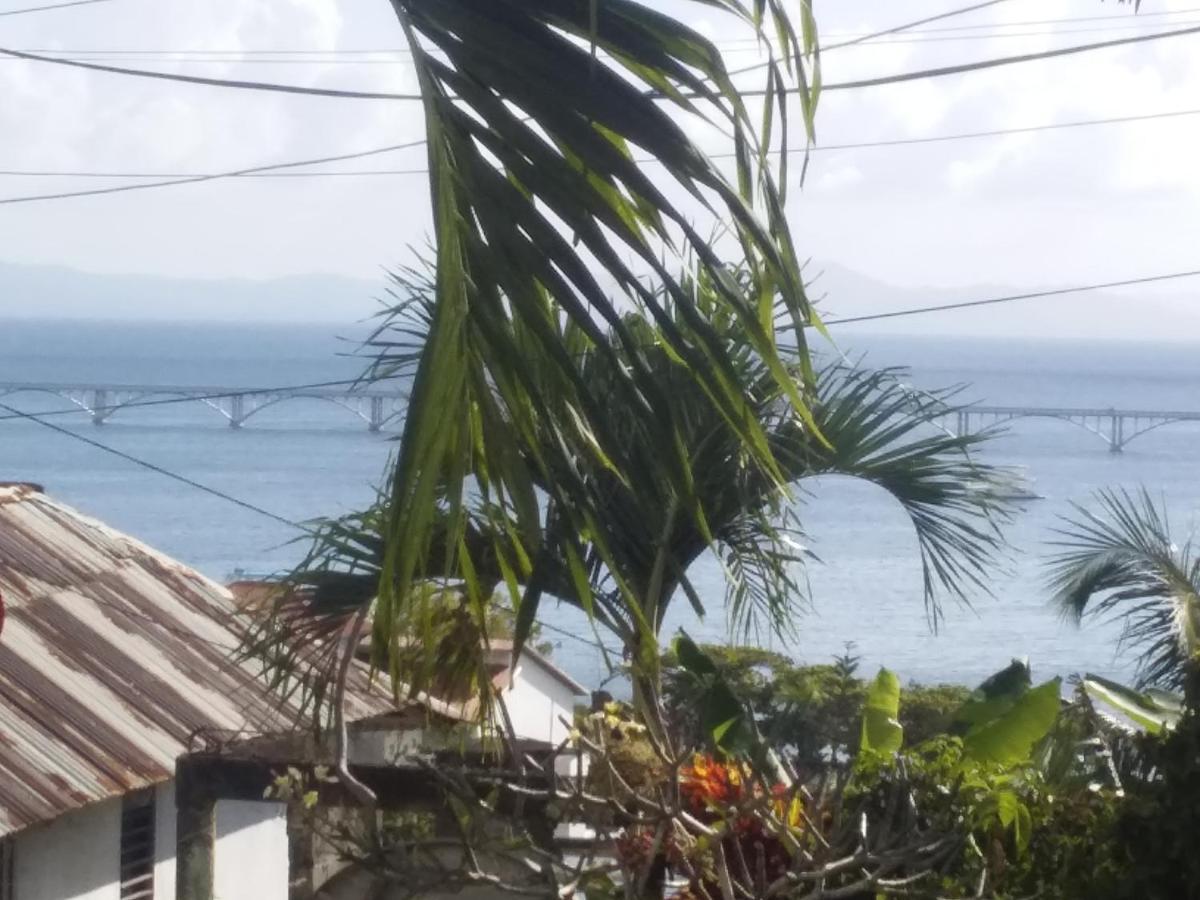 Room In Guest Room - Best Bed And Breakfast In Samana Breakfast Included Extérieur photo