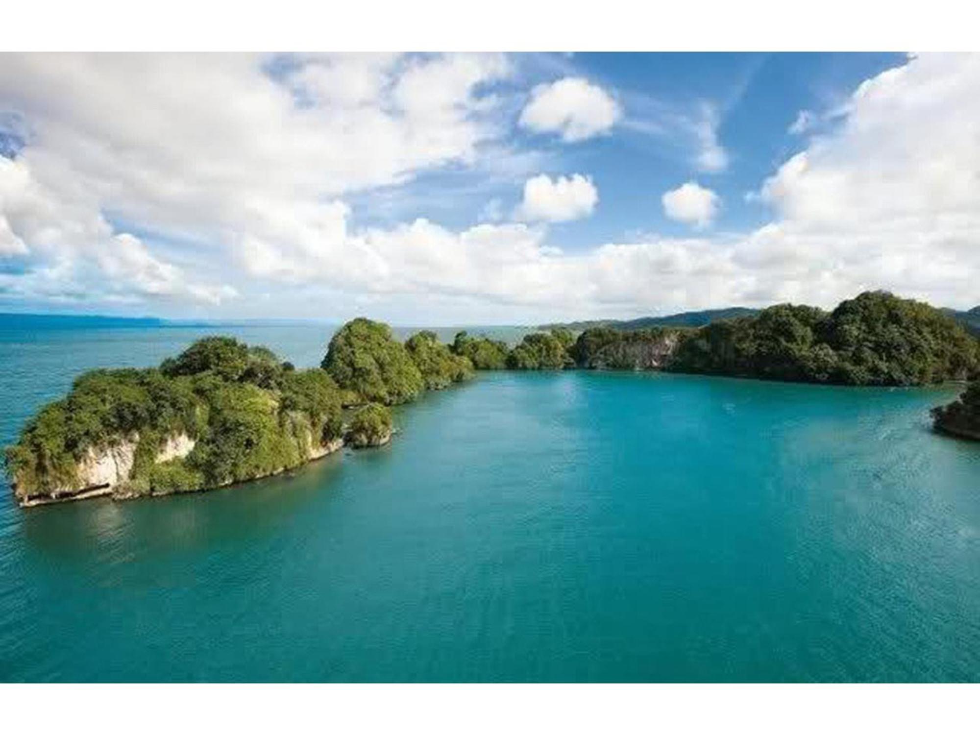 Room In Guest Room - Best Bed And Breakfast In Samana Breakfast Included Extérieur photo